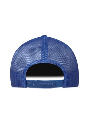 Gorra Flexfit 6606 Retro Trucker Azul Rey
