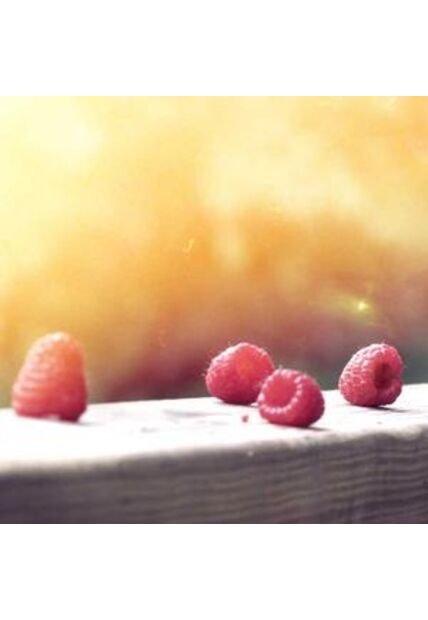 SCTA-TC-48-1776731104142