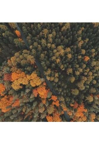 SCTA-TC-48-1775866811785 A la mar