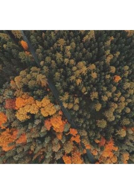 SCTA-TC-48-1777425422123