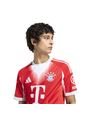 Camiseta Adidas Hombre Local FC Bayern 25/26 - Rojo-Blanco de adidas