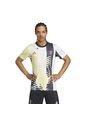 Camiseta Adidas Hombre Prepartido Juventus 24/25-Amarillo-Negro de adidas