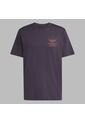 Camiseta Adidas Hombre FCBayern Terrace Icons Graphi-Purpura de adidas Originals