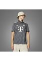 Camiseta Adidas Hombre Wiesn Fc Bayern 24/25 - Gris de adidas Originals