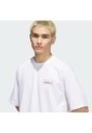 Camiseta Skate Blanca Adidas X Mark Gonzales Modernist de adidas Originals