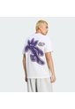 Camiseta Blanca Adidas St Back Gfx Hombre de adidas Originals