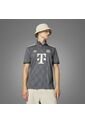 Camiseta Adidas Hombre Wiesn Fc Bayern 24/25 - Gris de adidas Originals