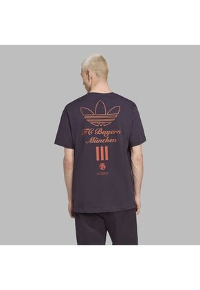 Camiseta Adidas Hombre FCBayern Terrace Icons Graphi-Purpura