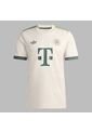 Camiseta Adidas Hombre FC Bayern 25/26 Wiesn - Beige - Gris de adidas Originals