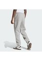 Pantalón Gris Adidas Essentials Trifolio Clásico Hombre de adidas Originals
