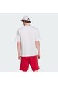 Camiseta Blanca Adidas Adicolor Trifolio Hombre de adidas Originals