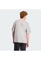 Camiseta Gris Adidas Flaming Bird Hombre de adidas Originals