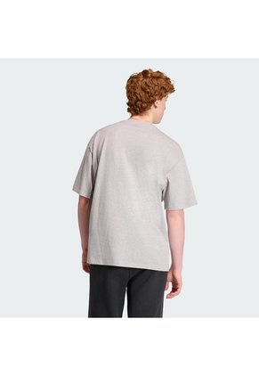 Camiseta Gris Adidas Flaming Bird Hombre