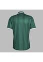 Camiseta Adidas Hombre Safa A JSY - Verde de adidas Originals