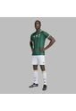 Camiseta Adidas Hombre Safa A JSY - Verde de adidas Originals