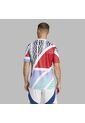 Camiseta Adidas Hombre PreMatch Arsenal 24-Blanca-Multicolor de adidas Performance