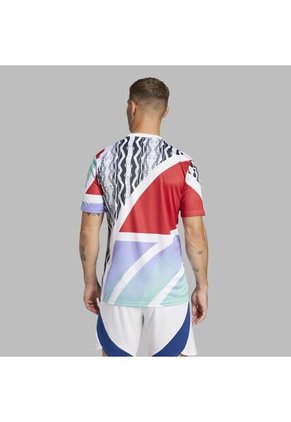 Camiseta Adidas Hombre PreMatch Arsenal 24-Blanca-Multicolor
