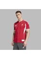 Camiseta Adidas Hombre Liverpool FC US Pack - Rojo - Blanco de adidas Performance