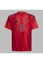 Camiseta Adidas Kids Local Fc Bayern 24/25 - Rojo de adidas Performance