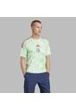 Camiseta Adidas Hombre Visitante De Italia 2025 - Verde de adidas Performance