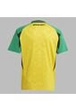Camiseta Adidas Kids Jff H Jsy Y - Amarillo - Verde de adidas Performance