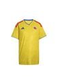 CAMISETA COLOMBIA ADIDAS de adidas Performance