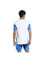 CAMISETA FCF TR JSY COLOMBIA ADIDAS de adidas Performance