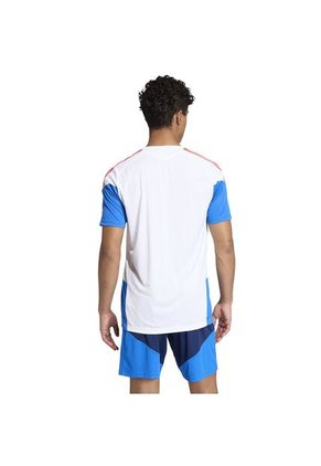 CAMISETA FCF TR JSY COLOMBIA ADIDAS