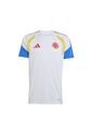 CAMISETA FCF TR JSY COLOMBIA ADIDAS de adidas Performance