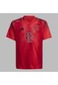 Camiseta Adidas Kids Local Fc Bayern 24/25 - Rojo de adidas Performance