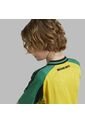 Camiseta Adidas Kids Jff H Jsy Y - Amarillo - Verde de adidas Performance