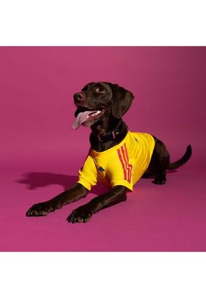 Camiseta Mascota Adidas Seleccion Colombia - Amarilla