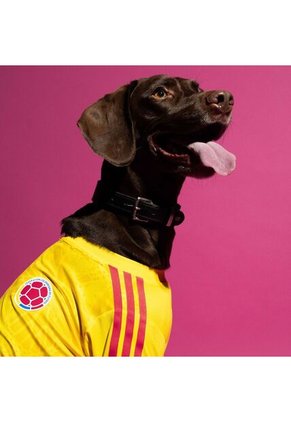 Camiseta Mascota Adidas Seleccion Colombia - Amarilla
