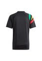 CAMISETA ADIDAS HOMBRE IK5737 NEGRO Talla L de adidas Performance