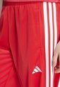 Pantalón Sudadera adidas Sportswear Dayready Rojo de adidas Performance