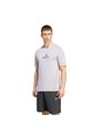 Camiseta Gris Adidas AMG Hombre de adidas Performance