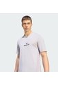 Camiseta Gris Adidas AMG Hombre de adidas Performance