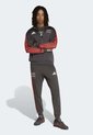 Chaqueta adidas Sportswear DNA Audi Revolut F1 Team Negro de adidas Performance