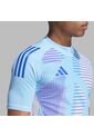 Camiseta Adidas Hombre T24 P GK Jsy - Azul-Multicolor de adidas Performance