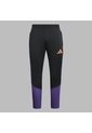 Pantalón Adidas Tiro 26 Competition - Negro de adidas Performance
