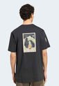 Camiseta adidas TERREX Graphic Camper Negro de adidas Performance