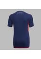 Camiseta Adidas Mujer Tercera Dim 2024 - Azul de adidas Performance