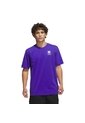 Camiseta Morada Adidas Graphic Emblem Hombre de adidas Performance