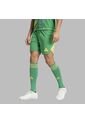 Shorts Adidas Hombre T24 P Gk - Verde de adidas Performance