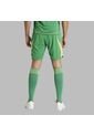 Shorts Adidas Hombre T24 P Gk - Verde de adidas Performance