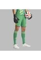 Shorts Adidas Hombre T24 P Gk - Verde de adidas Performance