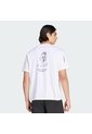 Camiseta Senderismo Blanca Adidas Graphic Terrex Wanderer de adidas Performance
