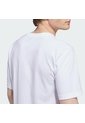 Camiseta Entrenamiento Blanca Adidas Graphic Sunny Palms Hombre de adidas Performance