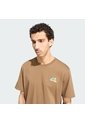 Camiseta Senderismo Verde Adidas Graphic Terrex Camper Hombre de adidas Performance