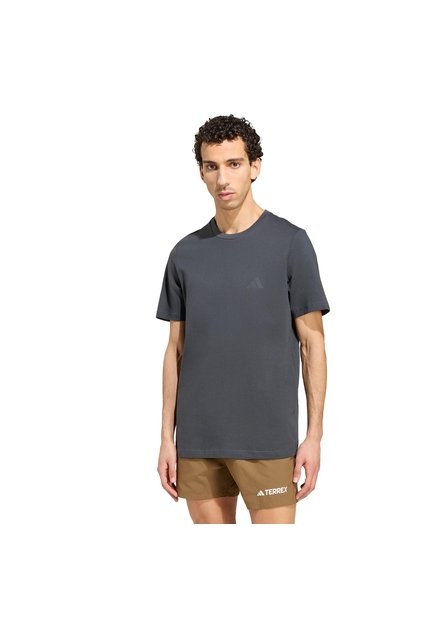 Camiseta Senderismo Gris Adidas Graphic Terrex Mountain Hombre